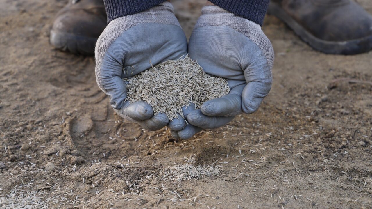 Şirin Çim İstanbul Hazır Rulo Çim Gübreleme